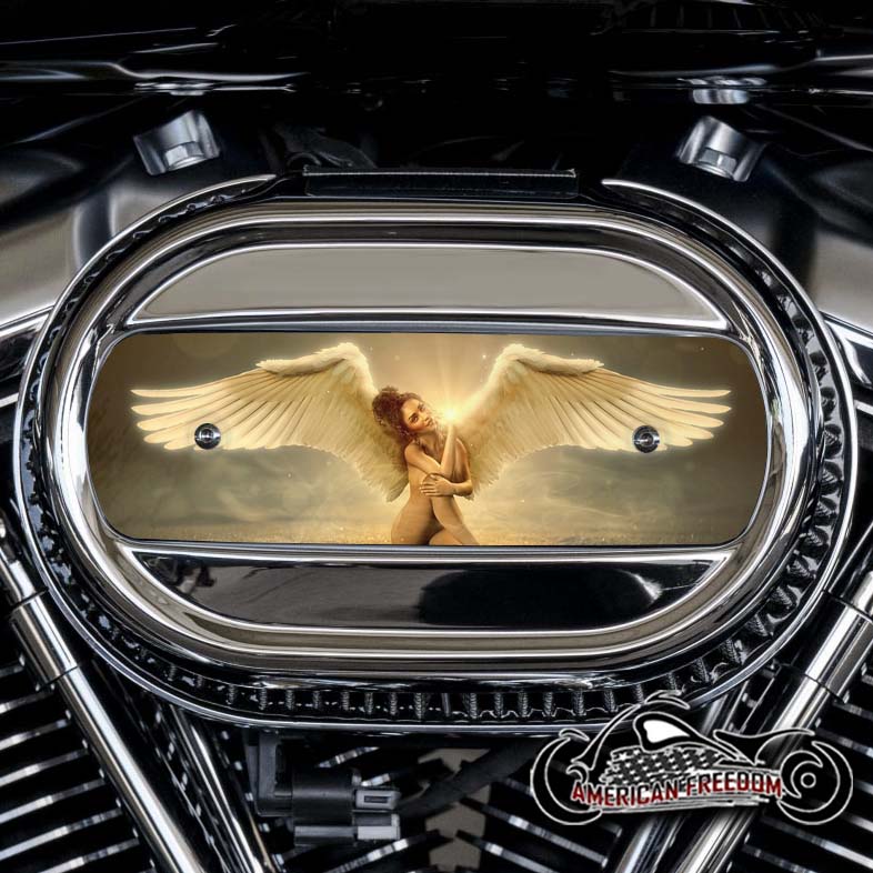Harley Davidson M8 Ventilator Insert - Champagne Angel